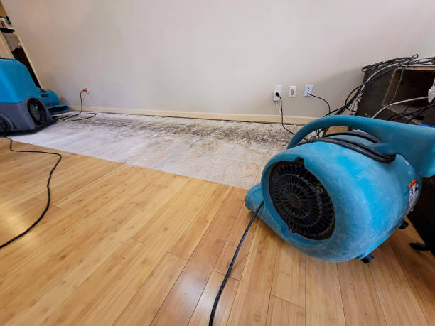 Professional Water Damage Repair technician working in Chaska, MN